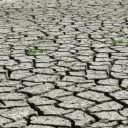 Will Virginia reach D4 (Exceptional Drought) by August 31, 2026?